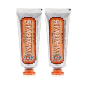 Ginger Mint Toothpaste Duo Pack (Travel Size)